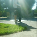 Abel Correa Photo 8
