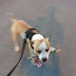 Steven Petit Photo 11