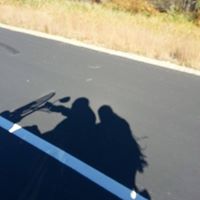 Lisa Webster Photo 22
