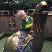 Krista Phipps Photo 18