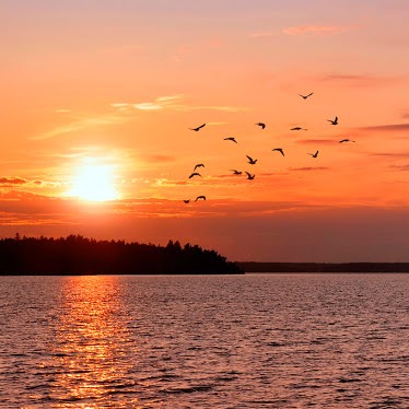 Julie Scully Photo 12