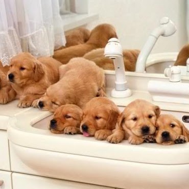 Jake Castillo Photo 22