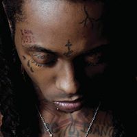 Paul Wood Photo 34 Paul Wood Photo 34