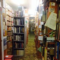 Tracie Cross Photo 7