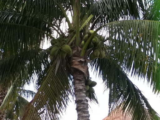 Annette Estes Photo 29 Annette Estes Photo 29