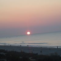 Roberta Roark Photo 6