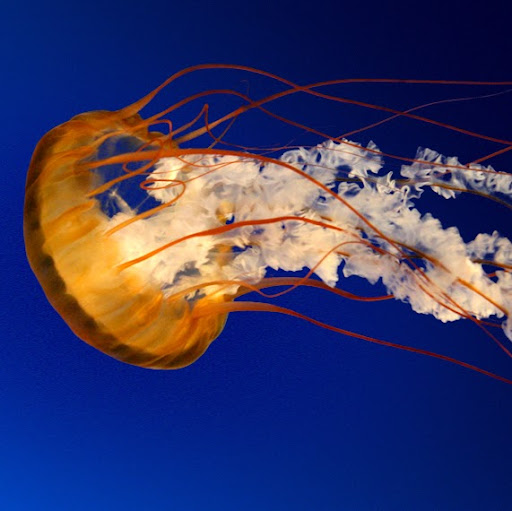 Emma Barnes Photo 39