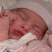 Joel Marcus Photo 22