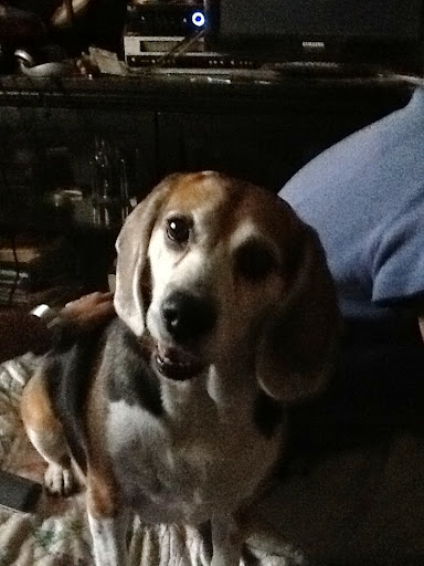 Cathy Watson Photo 20