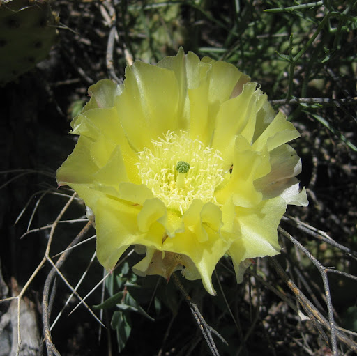 Duane Roth Photo 24