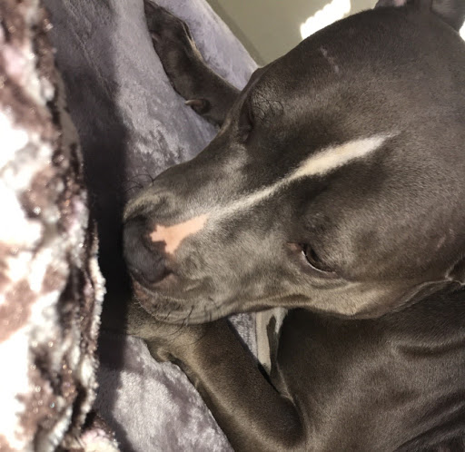 Stephanie Colcord Photo 6