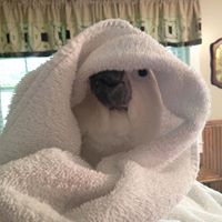 Stacy Mccarty Photo 15