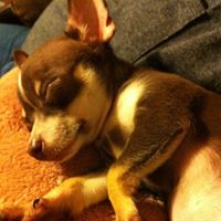 Betty Stanfield Photo 3