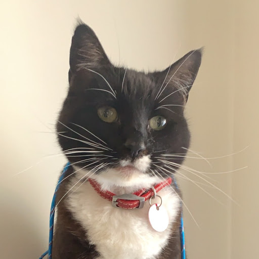 Shannon Renee Photo 11