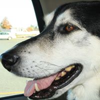 Brian Hastings Photo 13