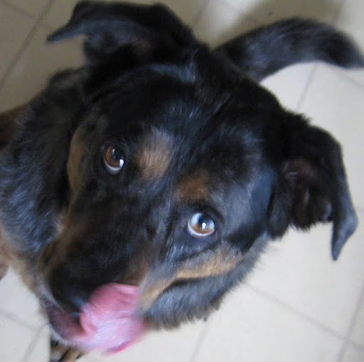 Shawn Moore Photo 17