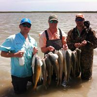 Louis Harper Photo 15