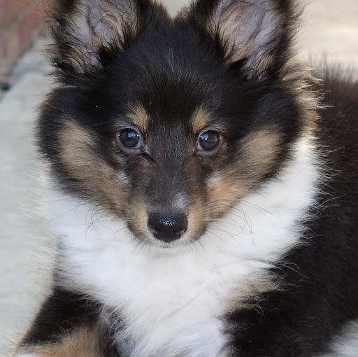 Kristina Quinn Photo 10