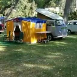 Alan Greene Photo 16