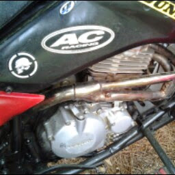 Michael Daniel Photo 43 Michael Daniel Photo 43