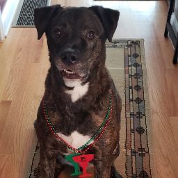 Mark Connelly Photo 16