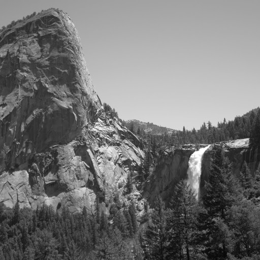 Fred Howell Photo 30