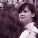 Dao Phan Photo 28