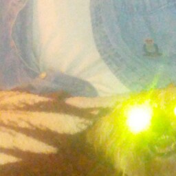 Julia Madison Photo 10