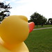 Kimberly Park Photo 12