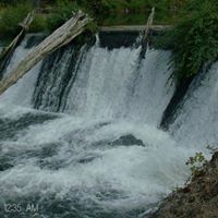 Annette Prince Photo 15