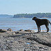 Josh Beach Photo 43