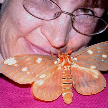 Diane Brooks Photo 19 Diane Brooks Photo 19