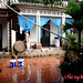 Yen Hong Photo 32