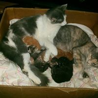 Jennifer Shultz Photo 15