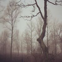 Steven Macleod Photo 14