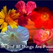 Peggy Rowe Photo 27