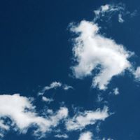 Paula Kraus Photo 26