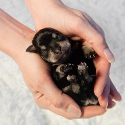 Christina Waggoner Photo 3