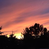 Vicki Pratt Photo 39