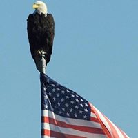 Randy Stacey Photo 11