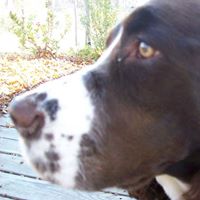 Michael Winkel Photo 8