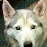 Steven Estep Photo 13