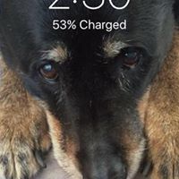 Tammy Bridges Photo 15