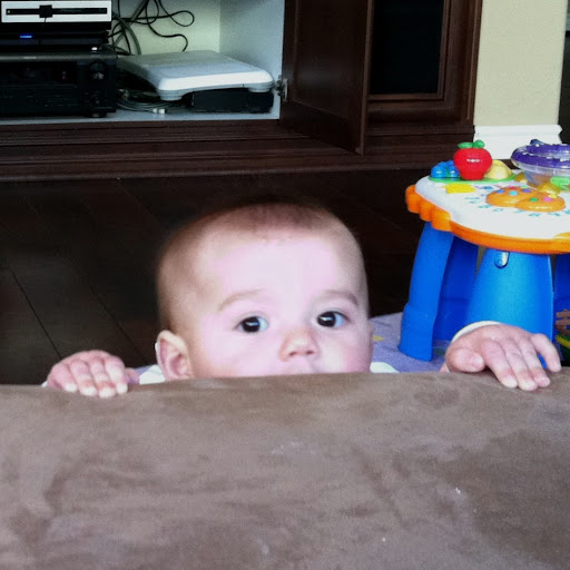 David Mcbride Photo 4 David Mcbride Photo 4