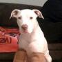 Debra Greene Photo 45