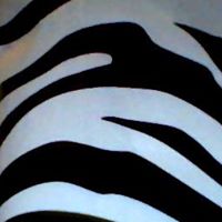 Pamela Chen Photo 45 Pamela Chen Photo 45