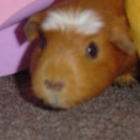 Angela Verdun Photo 1