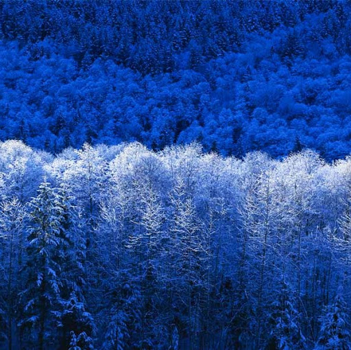 Jorge Roman Photo 16