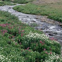 Darryl Banks Photo 32 Darryl Banks Photo 32