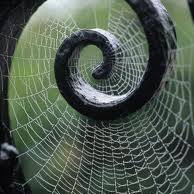 Susan Acuna Photo 15